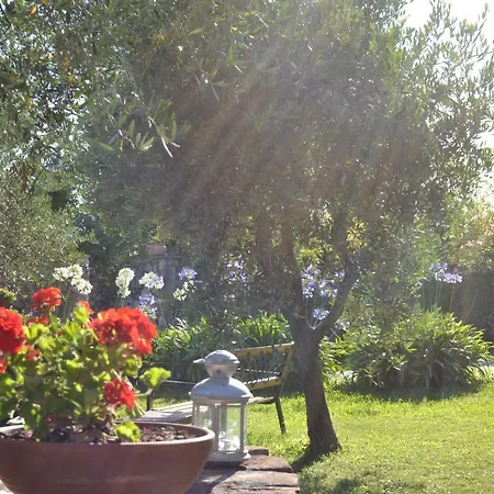 La Pippola Panzió 3*