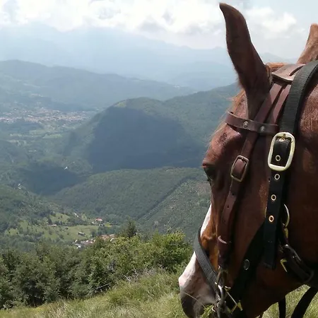 Panzió La Pippola 3*
