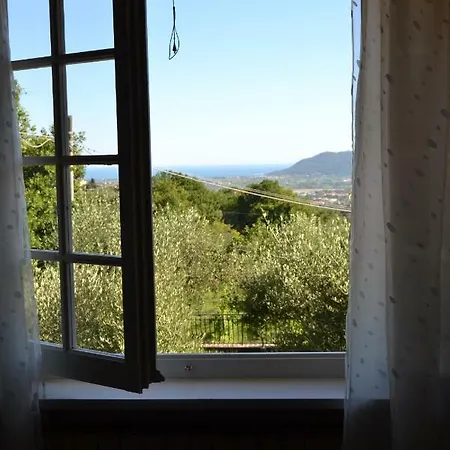 La Pippola